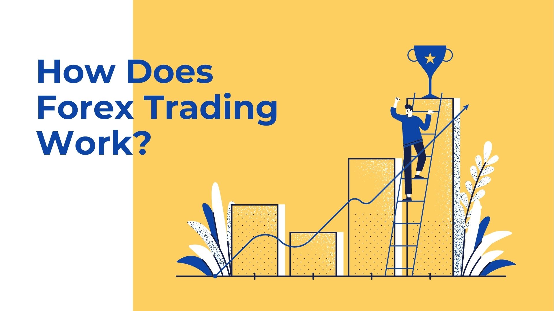 How Does Forex Trading Work?
